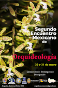 Segundo encuentro