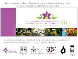 Segundo encuentro