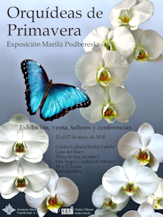 Cartel cartel