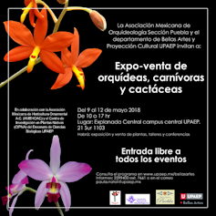 Puebla Expo