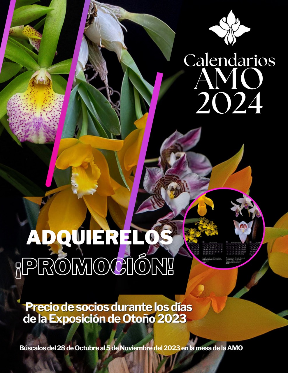 Promoción - CALENDARIOS AMO 2024 Promoción - CALENDARIOS AMO 2024