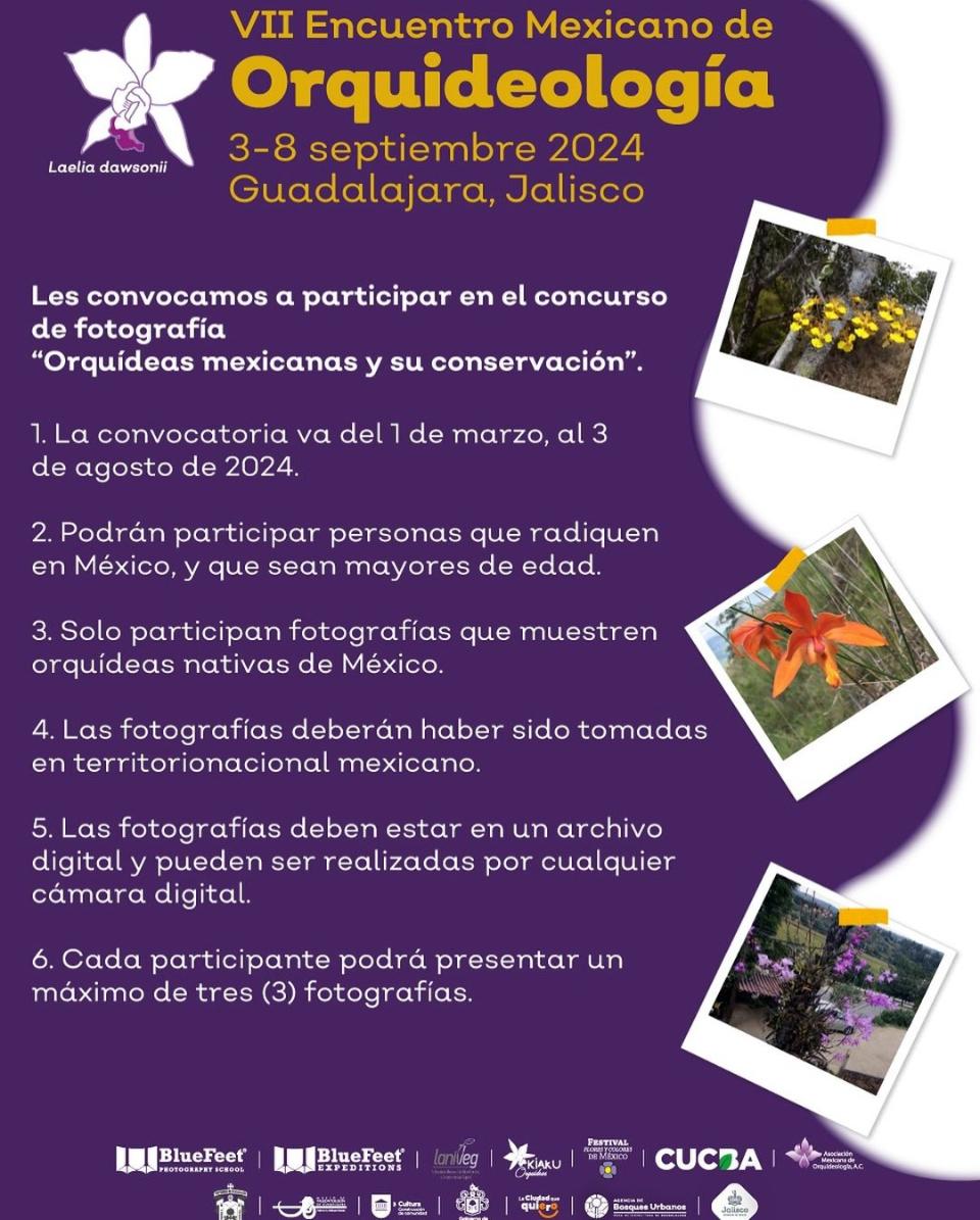 VII Encuentro Mexicano de Orquideología - Concurso de Fotografía VII Encuentro Mexicano de Orquideología - Concurso de Fotografía