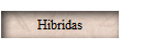 Hibridas